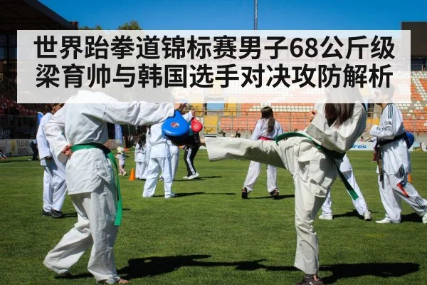 世界跆拳道锦标赛男子68公斤级梁育帅与韩国选手对决攻防解析（kaiyun）